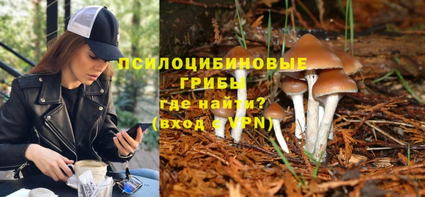 эйфоретик Бугульма