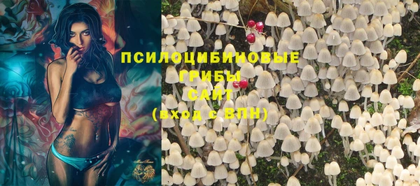 спайс Бородино