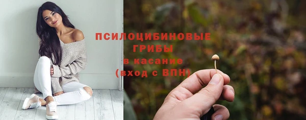 эйфоретик Бугульма